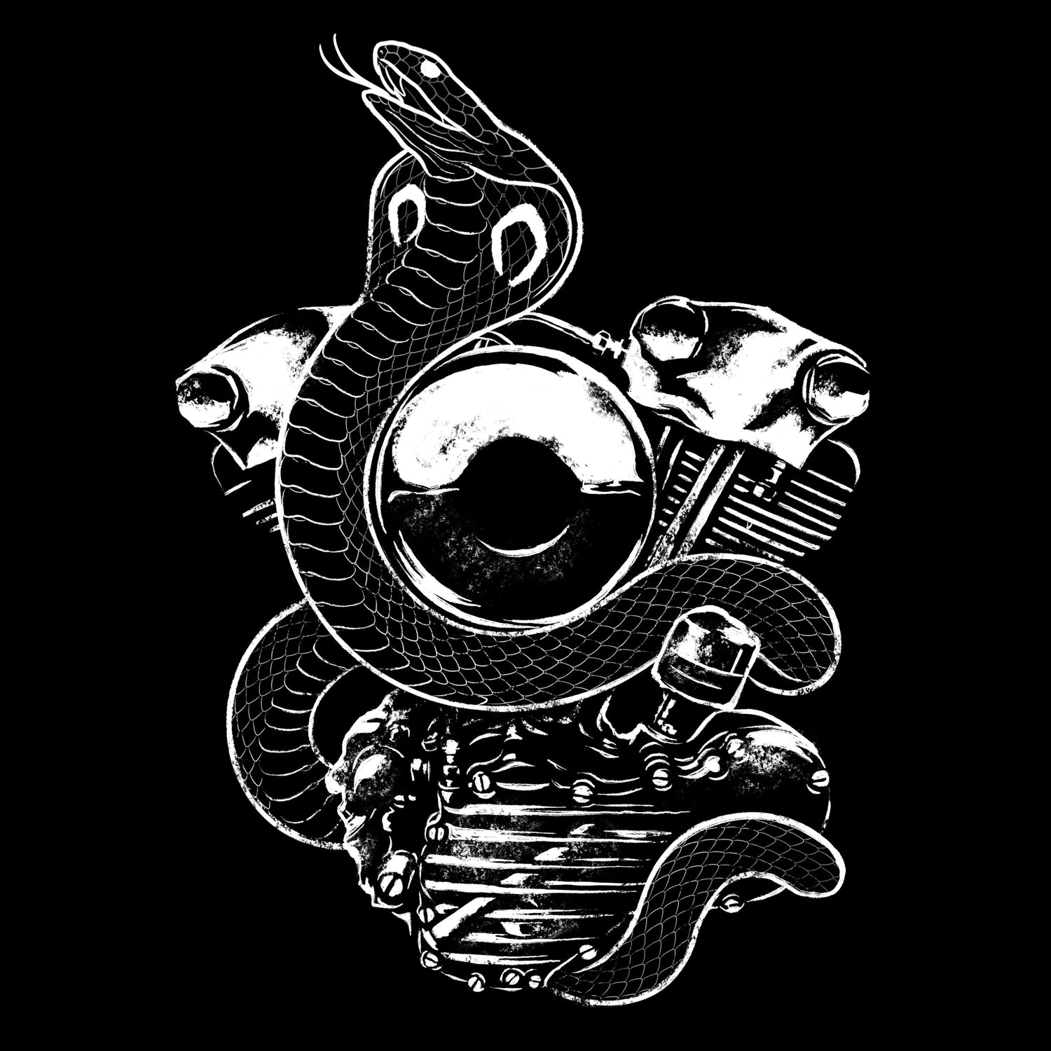 Knucklehead cobra