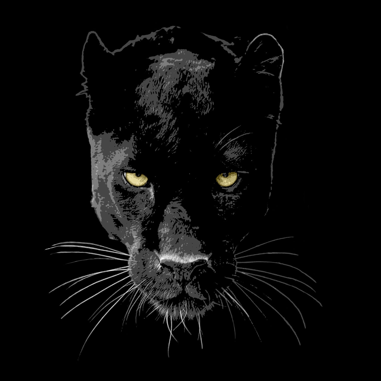 Panther