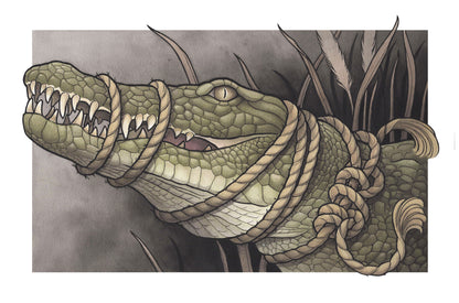 Crocodilian